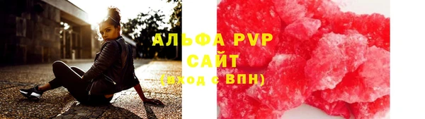 гидра Алексин