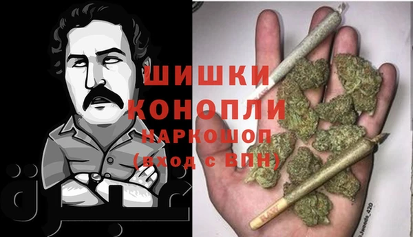 apvp Алзамай
