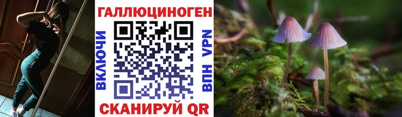 Псилоцибиновые грибы мухоморы  Алушта 